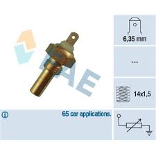 TERMO-RESISTENCIA FAE 31290